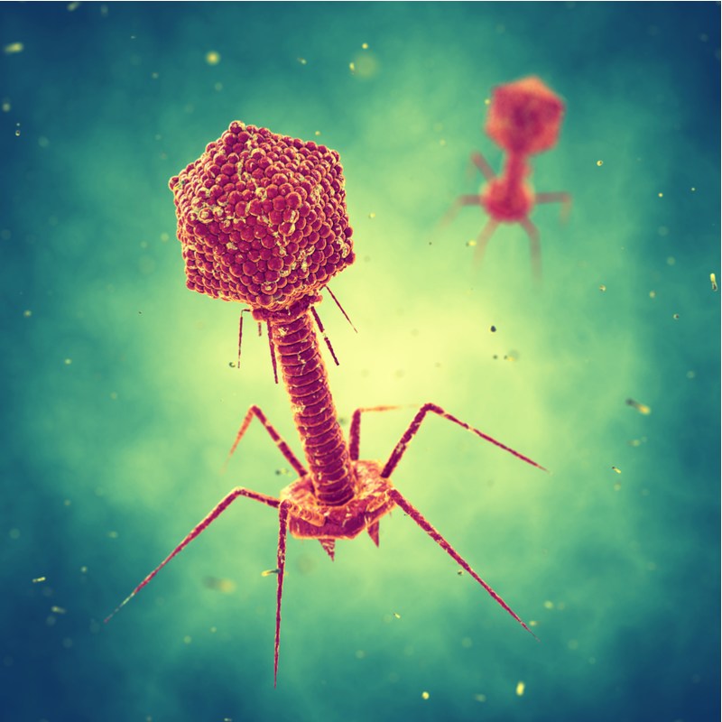 噬菌体疗法微生物组治疗