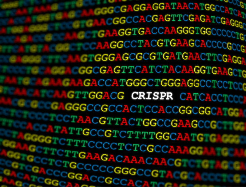 crispr基因组学代码”decoding=