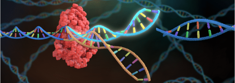 CRISPR疗法、CRISPR-Cas9基因组编辑、生物技术”decoding=