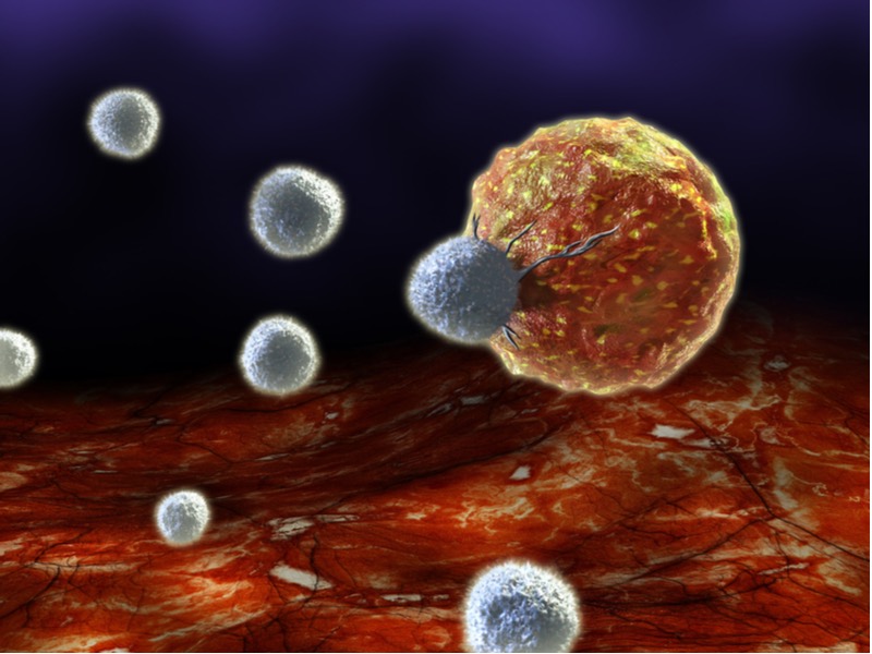 T细胞汽车T癌研究免疫疗法ASCO