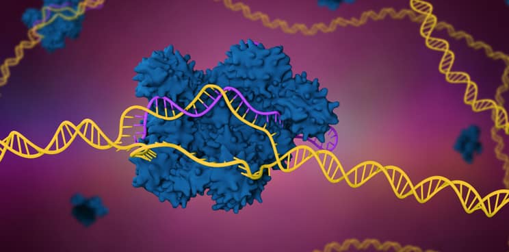 CRISPR CRISPR-Cas9,基因编辑,基因疗法188金宝搏官方网站”decoding=