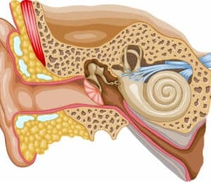 耳蜗听力损失”decoding=